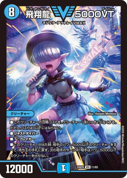 画像1: 飛翔龍5000VT【VIC】 (1)