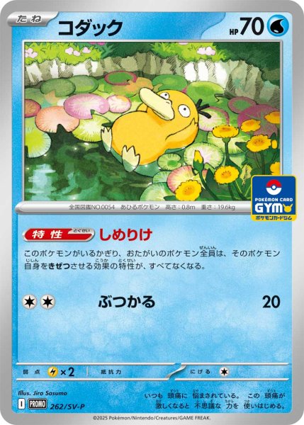 画像1: コダック【P】{262/SV-P} [SV-P] (1)