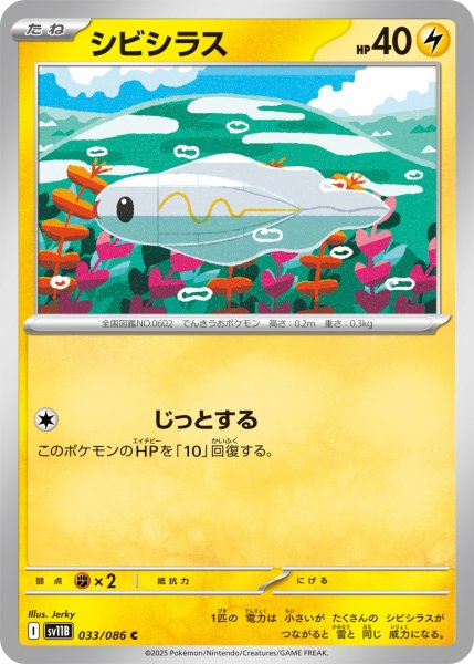 画像1: シビシラス【C】{033/086} (1)